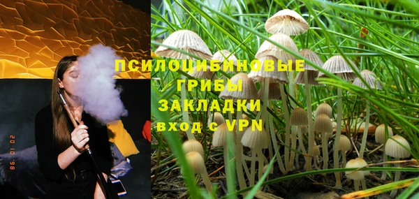 мет Горнозаводск