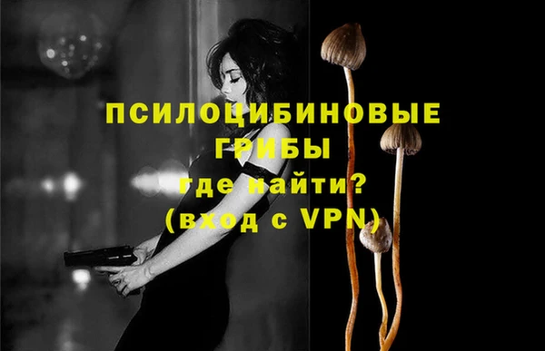 мет Горнозаводск