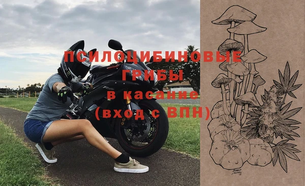 мет Горнозаводск