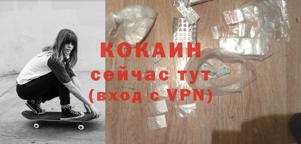 тгк Горняк
