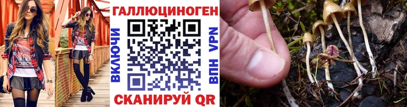 Галлюциногенные грибы Cubensis  Купить где  Мамоново 
